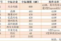 青海3.1GW高效双面组件订单解析
