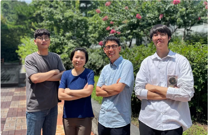 浦项科技大学开发纳米结构电解质 提高固态电池的离子电导率