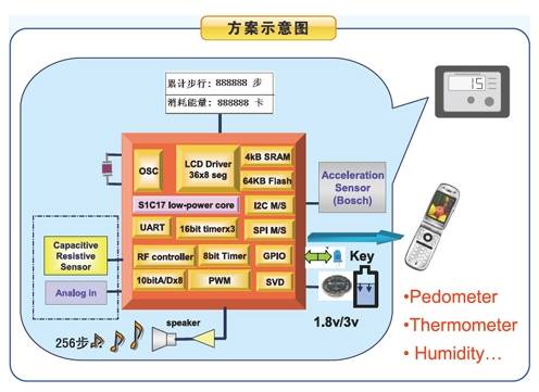 EPSON传感器解决方案—计步器