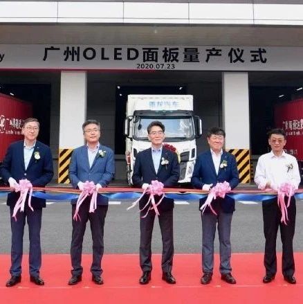 LGD投资多元化求生存转战IT产品