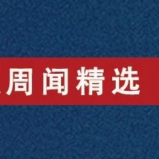 网通芯片交期拉长至50周，小米2020年狂揽2459亿