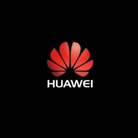 比亚迪或采用华为芯片！