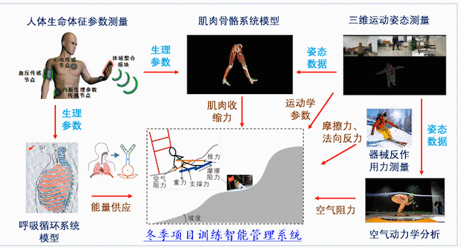 2022冬奥会：帮助运动员体能训练的“肌电设备”