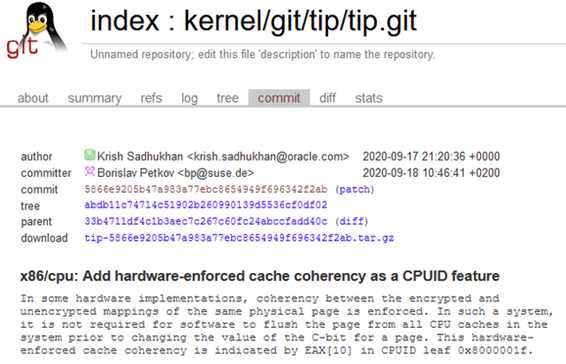 Linux内核5.10将增强 AMD SME硬件