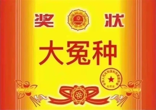 被运营商忽悠办了5G套餐后 我觉得自己像个傻子