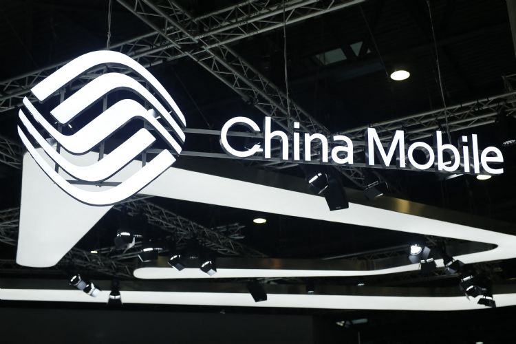 国内运营商将协助政府建立运算强权。法新社
