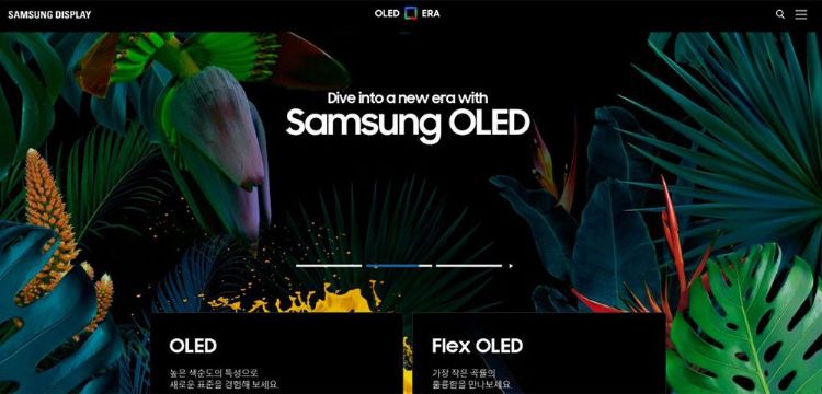 从电视到IT产品 OLED生态系逐步扩张