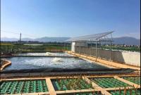 光伏项目和污水处理厂完美结合