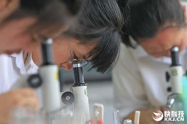 我国大学生发明高效细菌电池 将适配手机