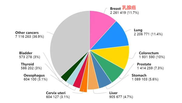 这名“业余”程序员 曾用50张1080Ti对抗癌症