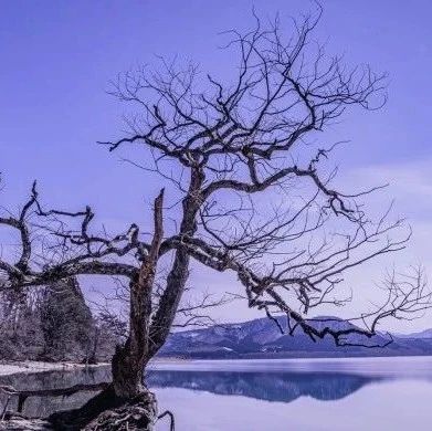 【解码】干衣机呈现周期性区域化引爆,本土企业来势凶猛