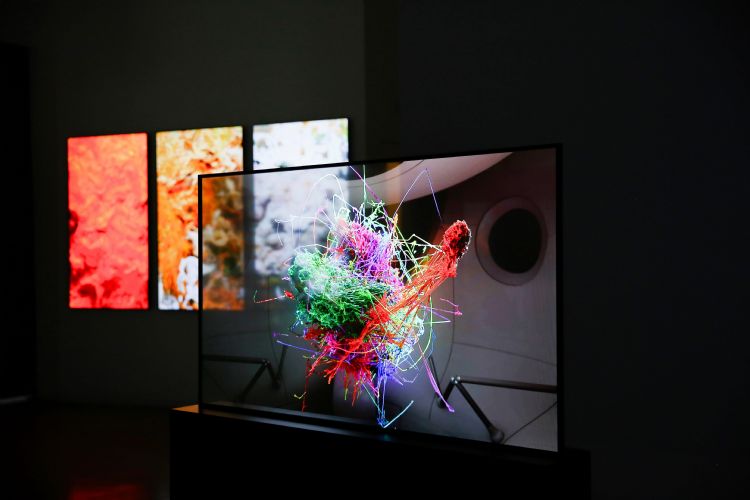 第一件透明OLED NFT作品 以科技记忆第一个平民太空任务