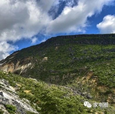 【独家】张近东黄光裕再次披挂上阵,家电零售业会变天吗