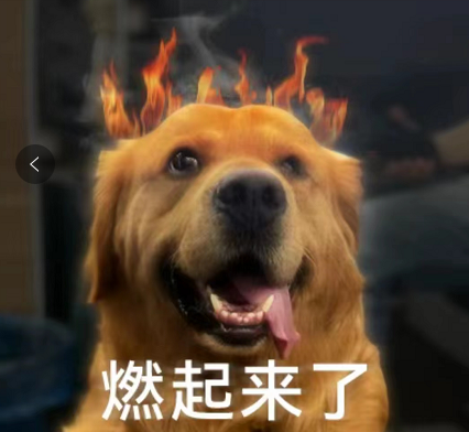 高通被人骂了两年火龙 到底是谁的锅?