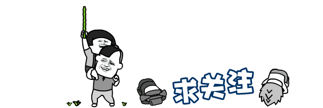 CPU芯片的主要性能与参数