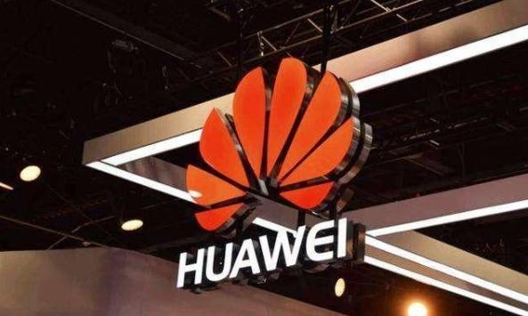 一招戳中欧美痛点！台积电工程师傻眼，感叹这就是古老的东方智慧