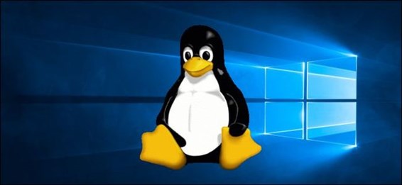 从9月24日开始，Microsoft Linux软件套件将不再支持TLS1.0/1.1