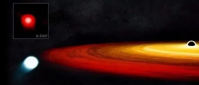 生存奇迹！在2.5亿光年外，发现一颗恒星，竟在黑洞中幸存下来！