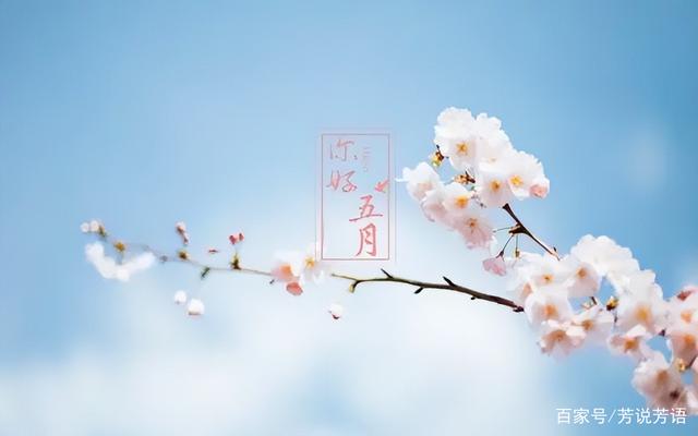 5月即将上市15款新机，无一不值得期待，市场又一波大洗牌