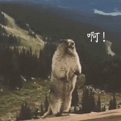 送女朋友什么样的手机？才能不被骂