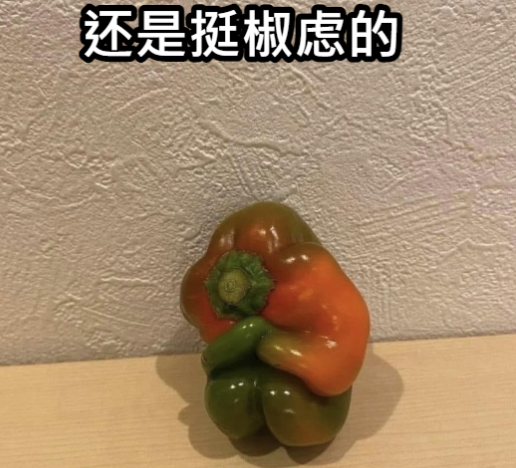 当年搞出天语手机的“山寨机教母”:靠做芯片翻盘上市了