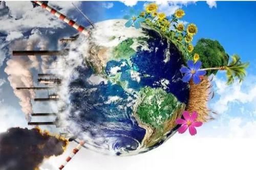 我国农业的芯片：种子，现实或许比你想象的要残酷