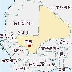突发！法国两架直升机相撞，致13名士兵死亡