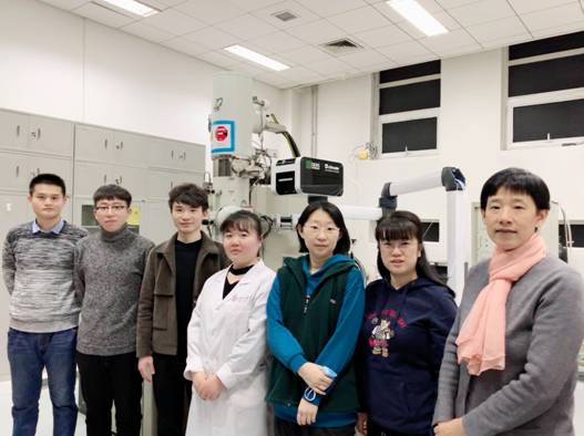 降低干扰，获得更高分辨率的电子显微镜成像
