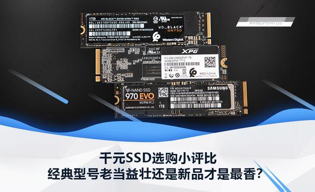 千元SSD选购小评比，经典型号老当益壮还是新品才是最香？