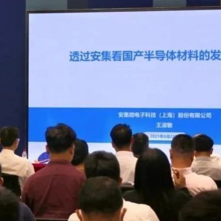 王淑敏：透过安集看国产材料发展之路