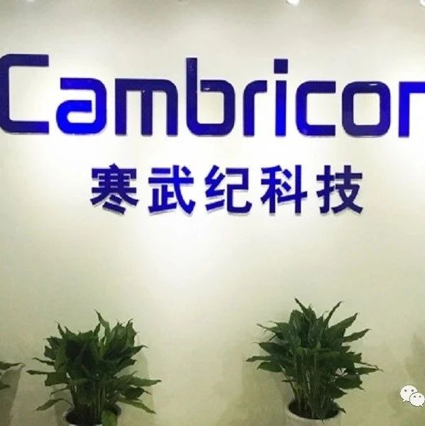 “硬核”科技股寒武纪将上市