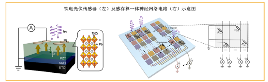 比存算一体更进一步，“感存算一体化”前景如何？