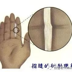 双缝干涉实验最新解释