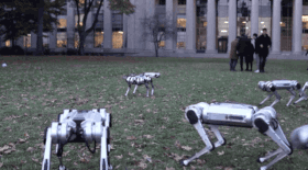 ezgif-5-2ea148e98872.gif
