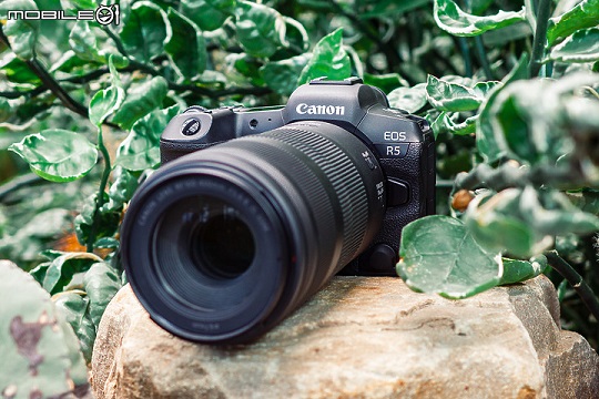 Canon RF100-400mm f/5.6-8 IS USM 评测报告｜不仅具备超望远实力同时更超值！