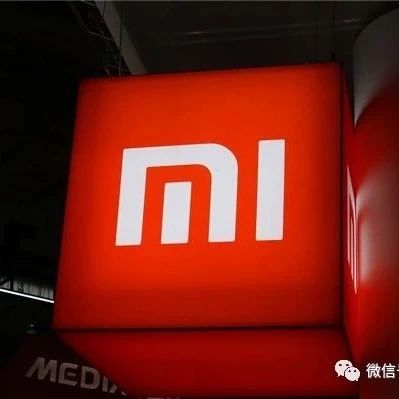 雷军“梦之队”再添大牛！