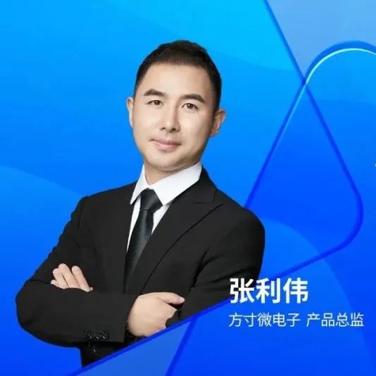 方寸微电子：多维度保护信息安全！