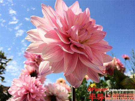 苹果iPhone 5S双LED闪光灯拍摄样张欣赏
