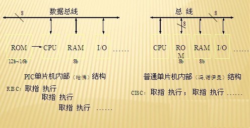 image1.jpg