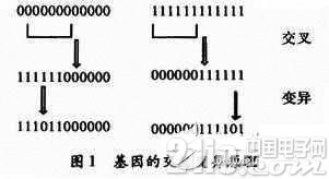 基于单片机对FPGA进行编程配置