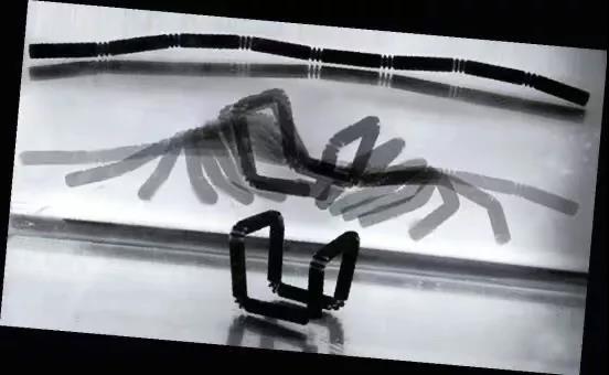 4D打印，实现物体“自我组装”