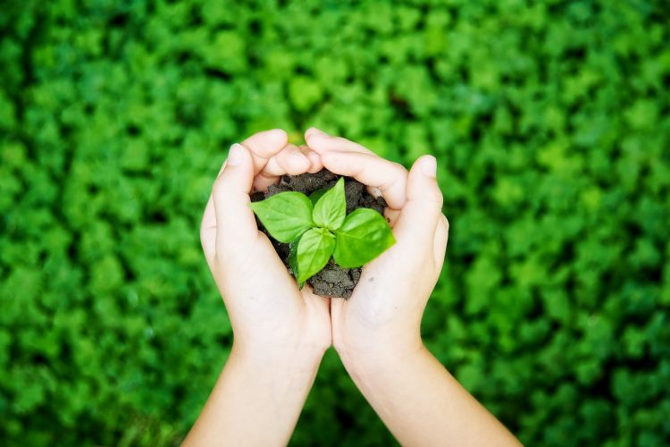 当科技业都在谈ESG 富士康如何做出表率？