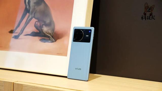 随手拍对比：vivo X Note、荣耀Magic4 Pro、OPPO Find X5 Pro，谁强？