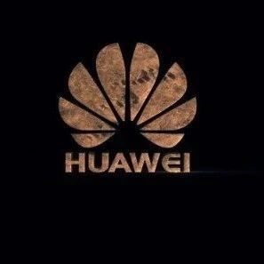 刚刚！美国宣布限制20万华为员工签证！