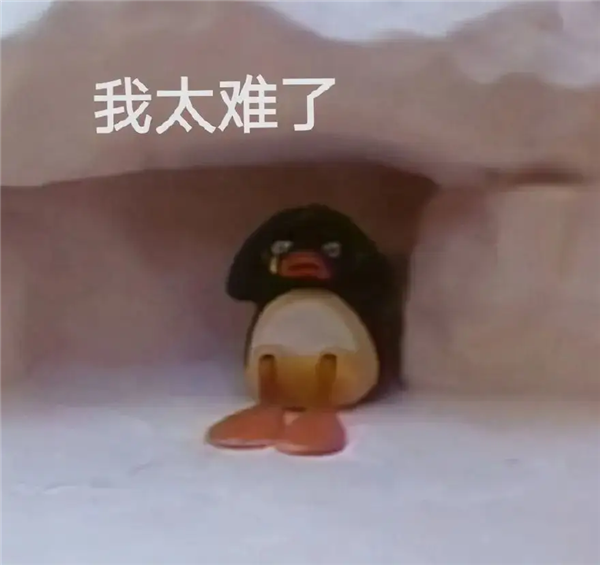 非洲老哥们的手机软件：被一家中国公司承包了