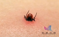 注意！这个“黑点”可能要命
