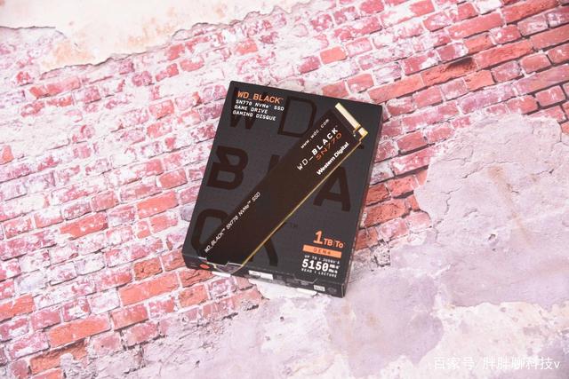 高性价比、为游戏而生，西数WD_BLACK SN770 NVMe SSD 1TB版评测