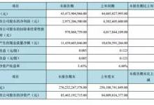 京东方、天马、维信诺半年报解析：行业逆风期谁是赢家