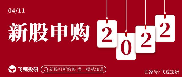 新股申购：市场竞争激烈，客户集中度高，申还是弃？