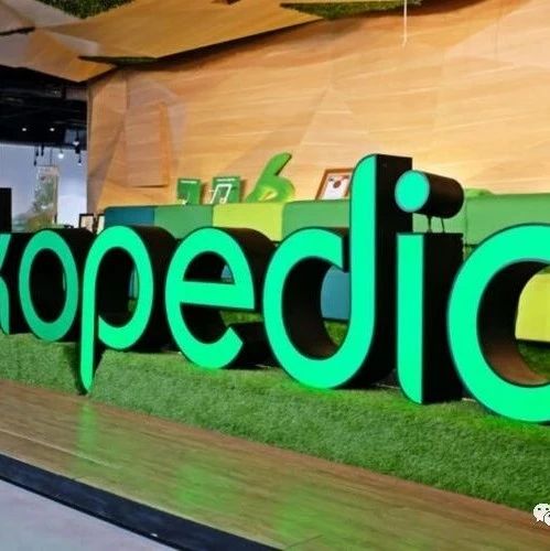 东南亚科技大厂竞相加速IPO！